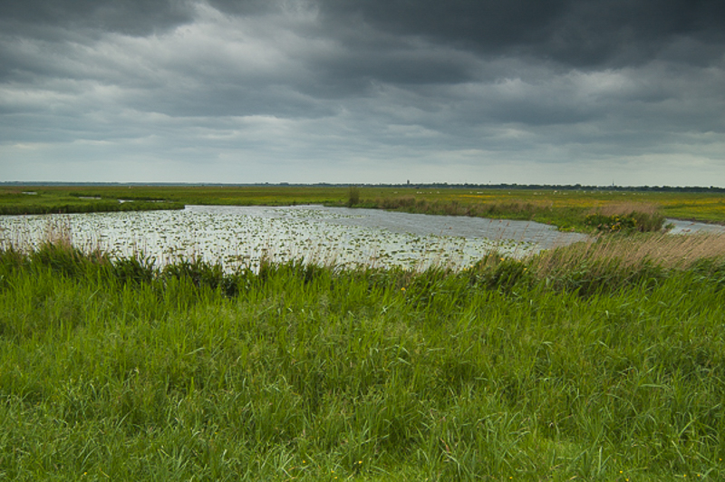 Eempolder